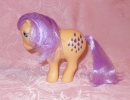 06 My Little Pony Orange Ponies (05).JPG