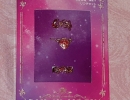 01-59 Sailor Moon Universal Studios Rings.jpg