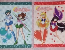 01-68 Sailor Moon Notebooks.jpg